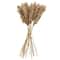 Dried Plant Pampas Natural Foliage with Long Stems